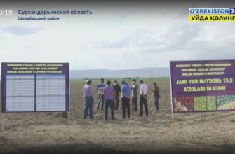 Преобразование занятости молодежи: проекты, создающие возможности