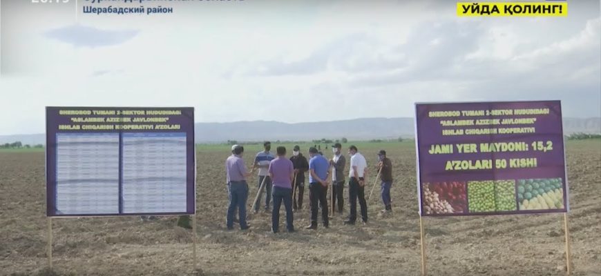 Преобразование занятости молодежи: проекты, создающие возможности