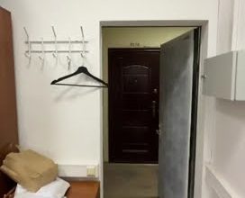 Посетите январские мероприятия в Санкт-Петербурге: что происходит